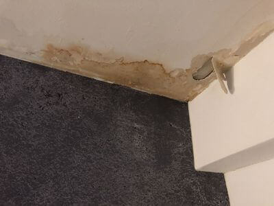 Professional water damage restoration services in Fairhope, AL - Basement Flood Cleanup Pros